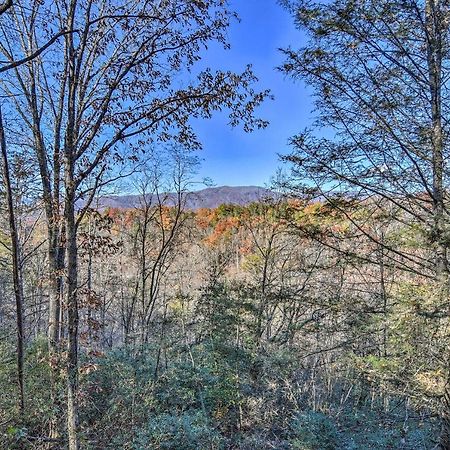 Natures Retreat With Hot Tub 7 Mi To Bryson City Whittier Екстериор снимка